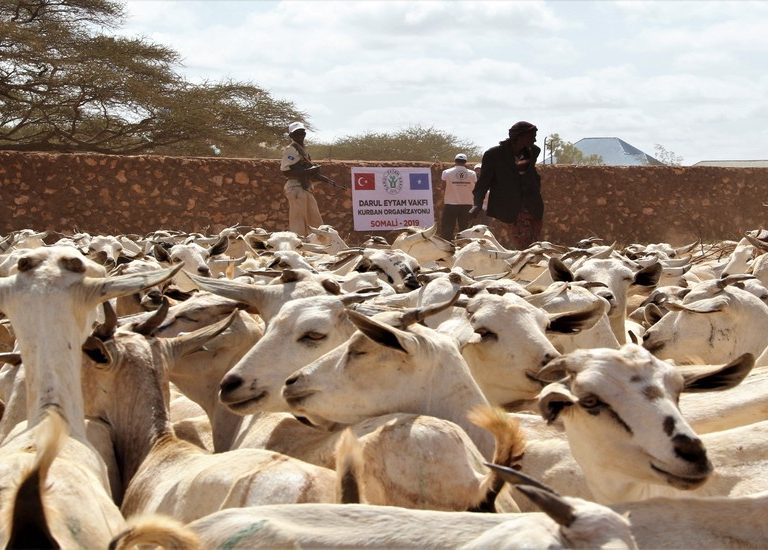 Somali Kurban 2019