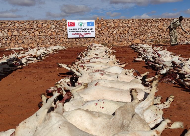 Somali Kurban 2020