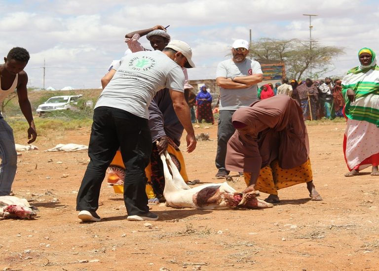 Somali Kurban 2020