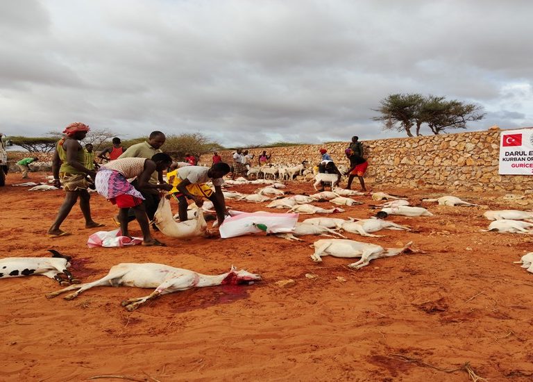 Somali Kurban 2020