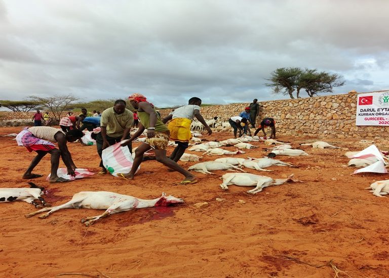 Somali Kurban 2020