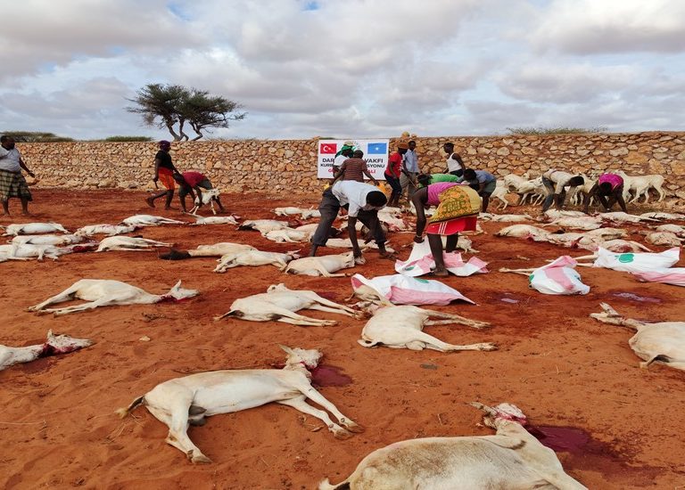 Somali Kurban 2020