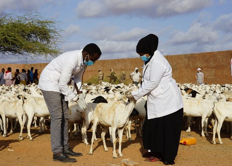 Somali Kurban 2021