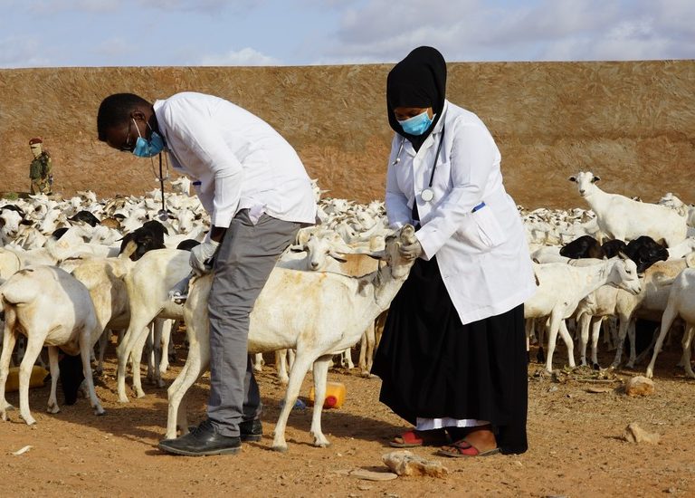 Somali Kurban 2021