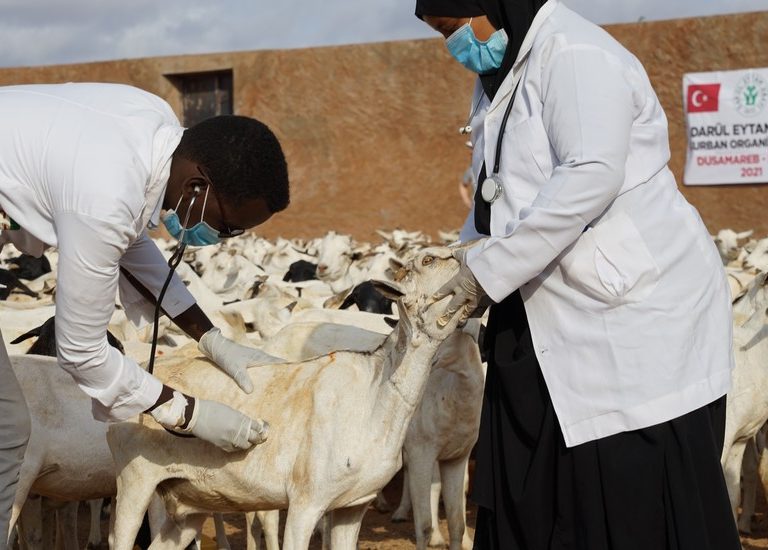 Somali Kurban 2022