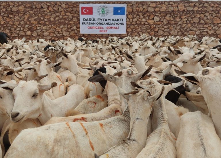 Somali Kurban 2022