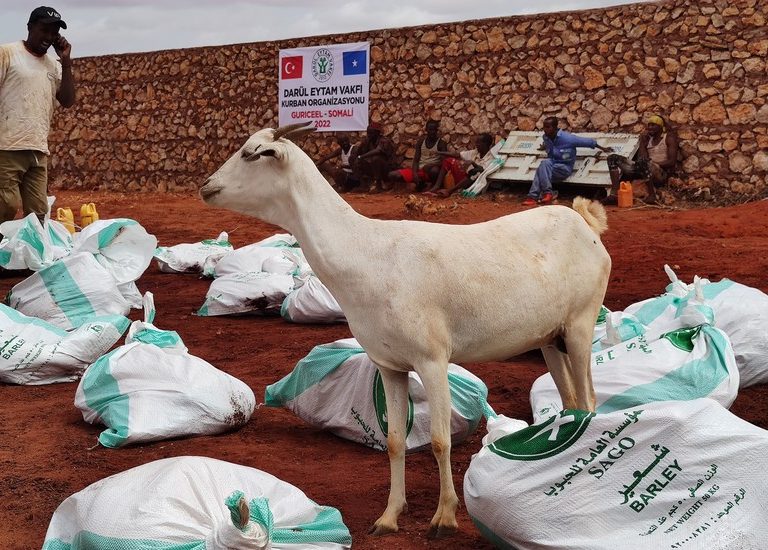 Somali Kurban 2022