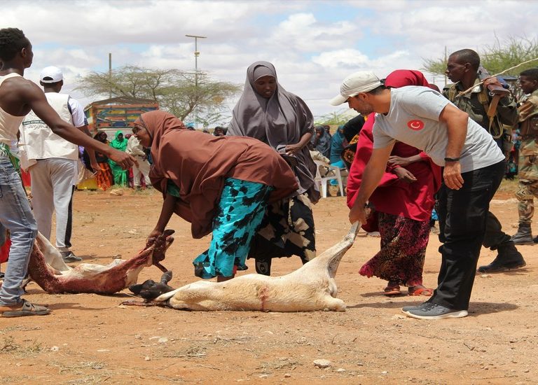 Somali Kurban 2023