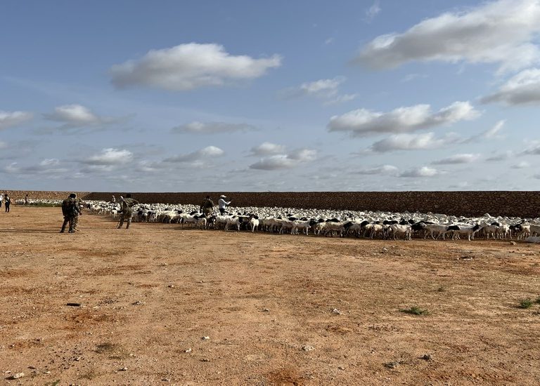 Somali Kurban 2023
