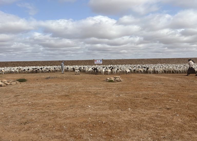 Somali Kurban 2023