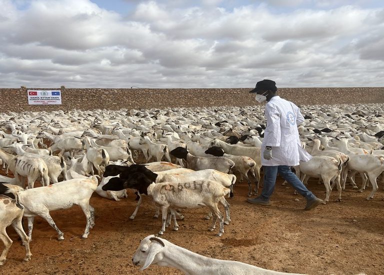 Somali Kurban 2023