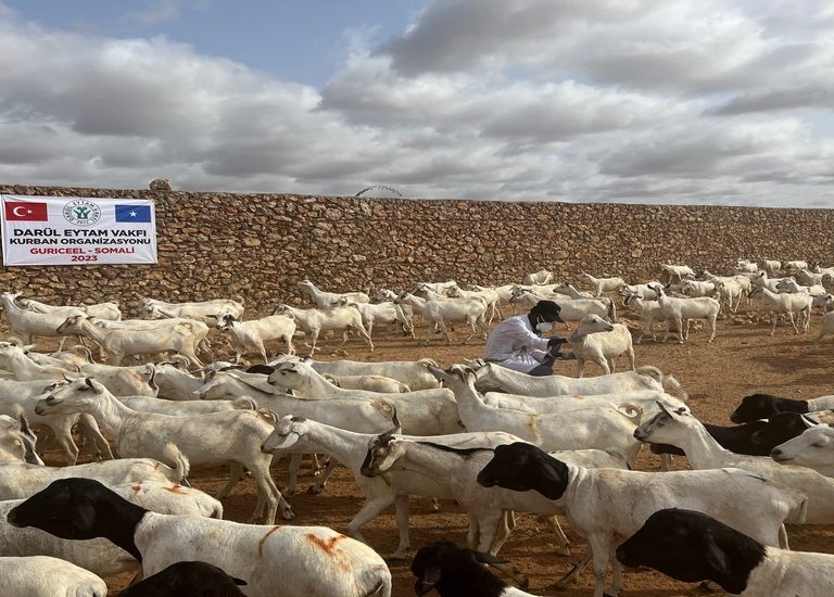 Somali Kurban 2023