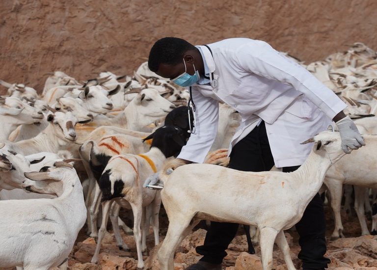 Somali Kurban 2023