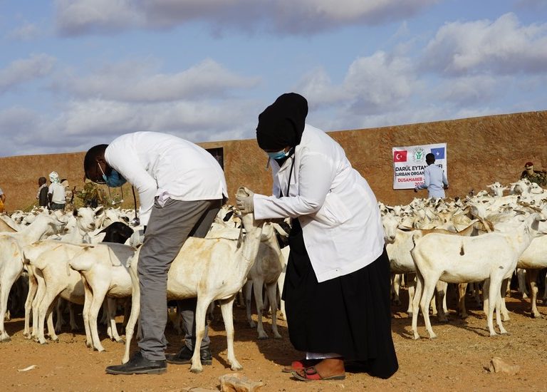 Somali Kurban 2023