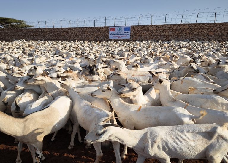 Somali Kurban 2024